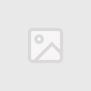 学校教育現場でのチャットGPT活用事例（愛媛県）